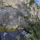 Rán thumbnail