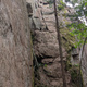 Pettard thumbnail