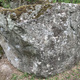 Tritadita thumbnail