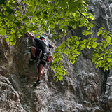 Richard Holecek