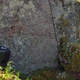 Hupsis thumbnail