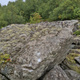 Fischers Fritz fischt frische Fische thumbnail