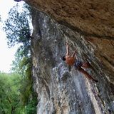Bernat Burcet