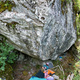 Permis de défricher  thumbnail