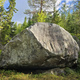 Avoinlinja thumbnail