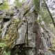 Natural mystic thumbnail