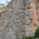37) dedalus 5c thumbnail