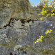 Blauer Parcour 7 thumbnail