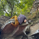 Sebastian Brenke