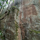 Welcome to the Rock! thumbnail