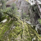 Hajurako thumbnail