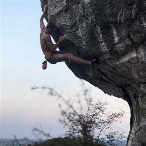 Federico Andreani