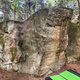 Muchołapka (HE) thumbnail