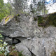 Prosjekt  thumbnail