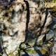 Pöhkö thumbnail