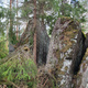 Avauspuheenvuoro thumbnail