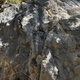Transylvania thumbnail