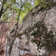 E 60 Cross thumbnail