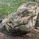 Snaggle Tooth thumbnail