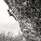First Ascents of the Grade in Arco