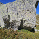 Grane padane thumbnail