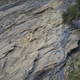 Roggubrot thumbnail