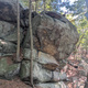 Lonesome George thumbnail