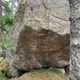Rock heavy march fly thumbnail