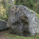 931 nuoremmille 03 thumbnail