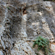 17) Scuola valmarecchia(5c+) thumbnail