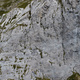 Alba Celtica L:1 thumbnail