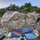 풀독 thumbnail