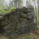 Paarmankinkku thumbnail