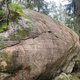 Kellarisläbi thumbnail