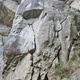 Twingo thumbnail