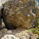 Reglets thumbnail
