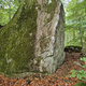 Bladglimmer thumbnail