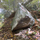 Dragon Lady thumbnail