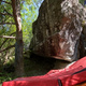 Arbre bleu 6 thumbnail