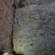 따개비 thumbnail